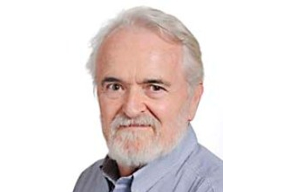 Miguel A.  MARTÍNEZ